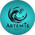 Art3mis 555 profile picture