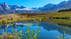 10 Luxury Weekend Escapes from Cape Town