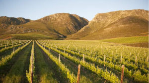 10 Luxury Weekend Escapes from Cape Town