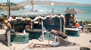 10 Luxury Weekend Escapes from Cape Town