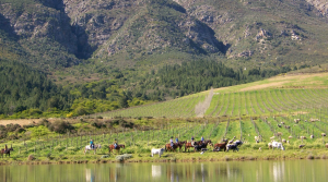 10 Luxury Weekend Escapes from Cape Town