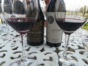 Best Wine Tasting Experiences in the Cape Winelands