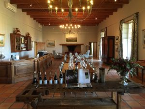 Best Wine Tasting Experiences in the Cape Winelands