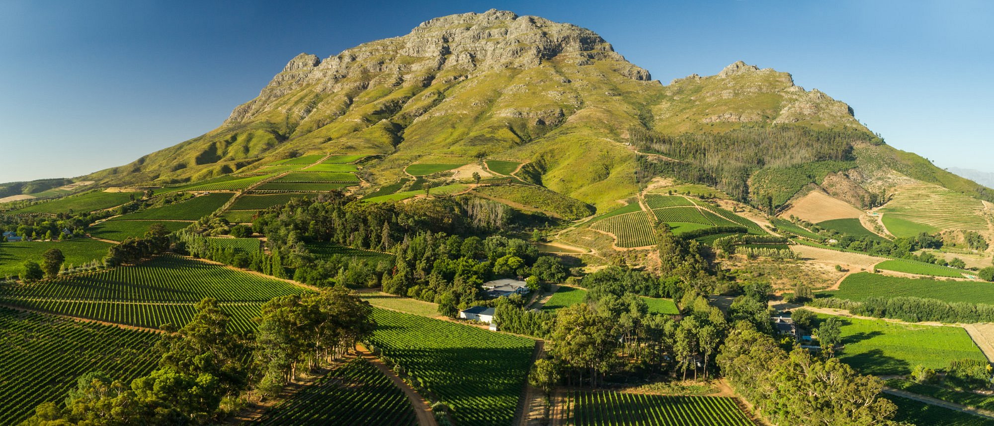 Best Wine Tasting Experiences in the Cape Winelands
