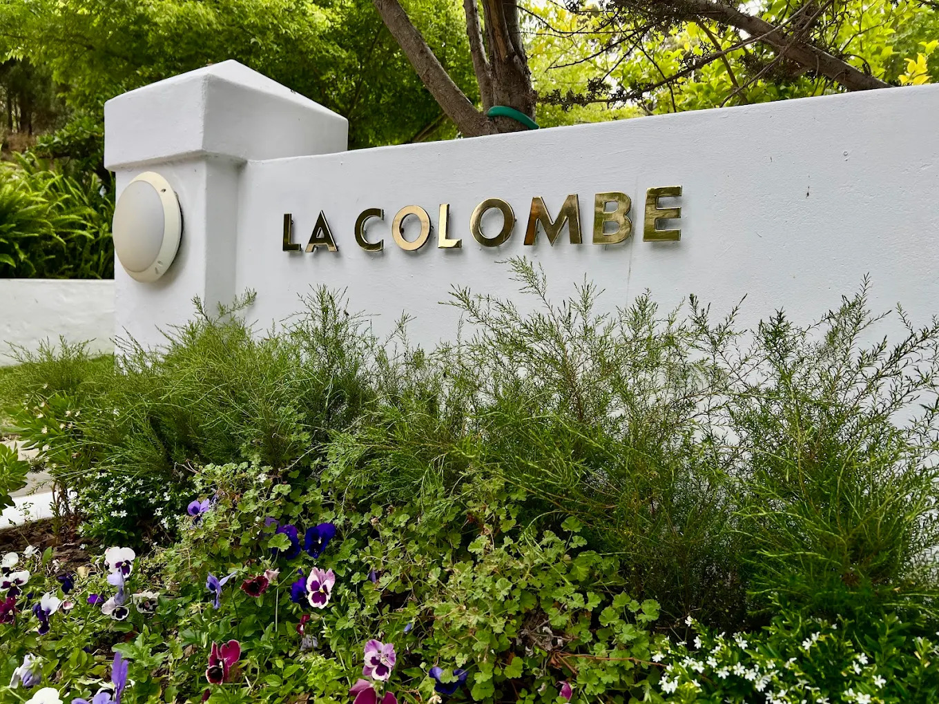 01 La Colombe