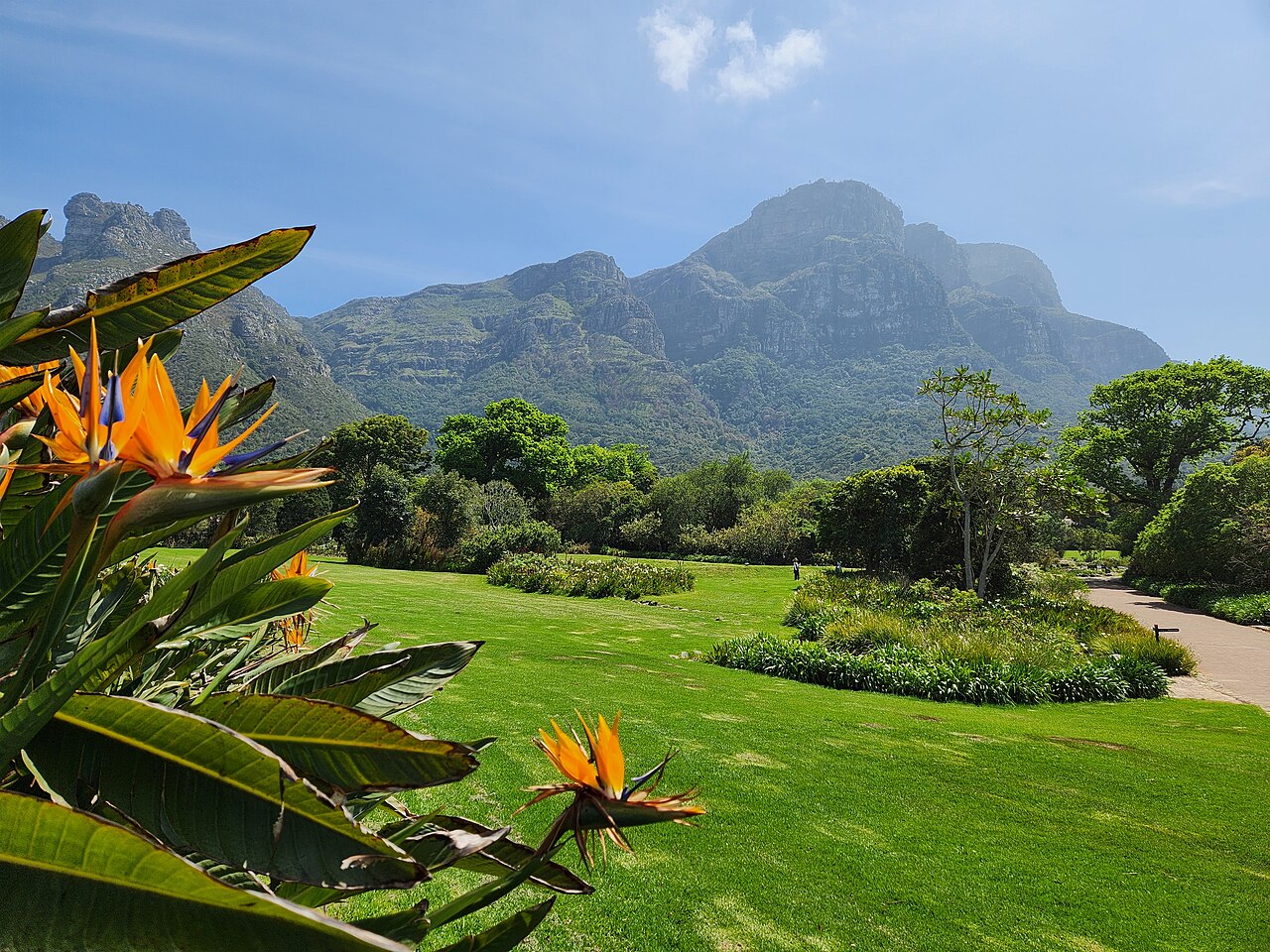 Kirstenbosch