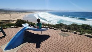Best Whale Watching Spots along the Western Cape Coastline