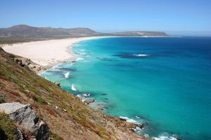 Private Cape Peninsula Tour with Cape Ability Tours