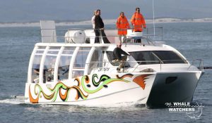 https://hermanuswhalewatchers.co.za/