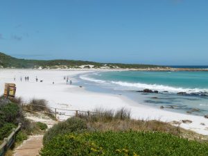Private Cape Peninsula Tour with Cape Ability Tours