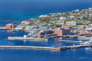 Private Cape Peninsula Tour with Cape Ability Tours