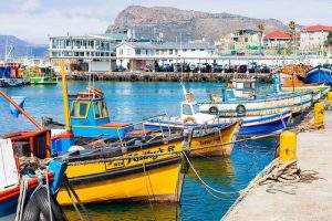 Private Cape Peninsula Tour with Cape Ability Tours