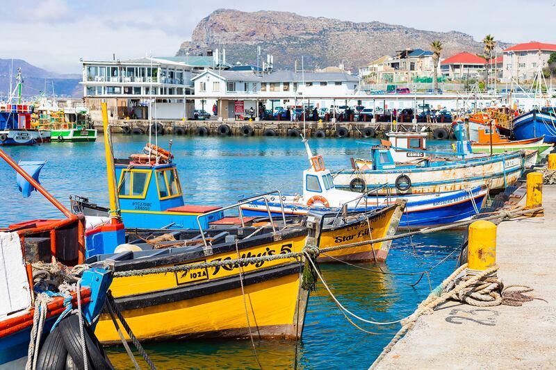 18 Cape Peninsula