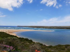 Best Whale Watching Spots along the Western Cape Coastline