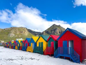 Private Cape Peninsula Tour with Cape Ability Tours