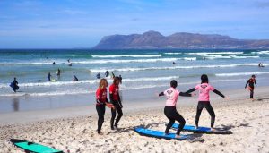 Private Cape Peninsula Tour with Cape Ability Tours