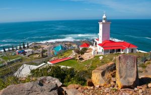 Best Whale Watching Spots along the Western Cape Coastline