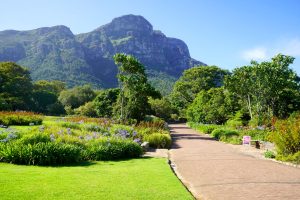 Private Cape Peninsula Tour with Cape Ability Tours