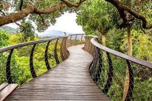 Private Cape Peninsula Tour with Cape Ability Tours