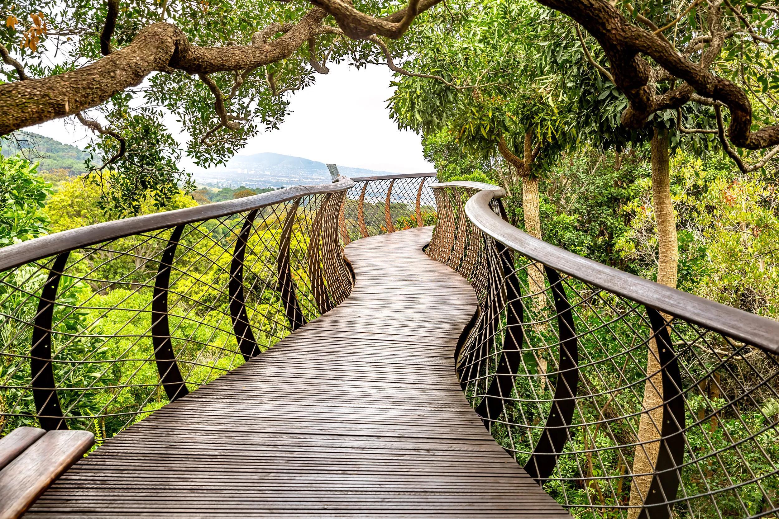 23 Cape Peninsula